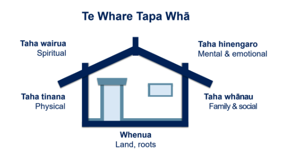 te whare tapa wha model image via Dev Academy